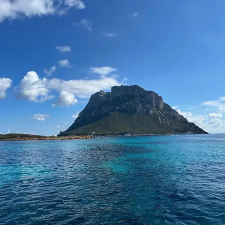 Lejlighed Spacious & Luxurious - Fully Renovated & Equipped 2br - Historical Centre